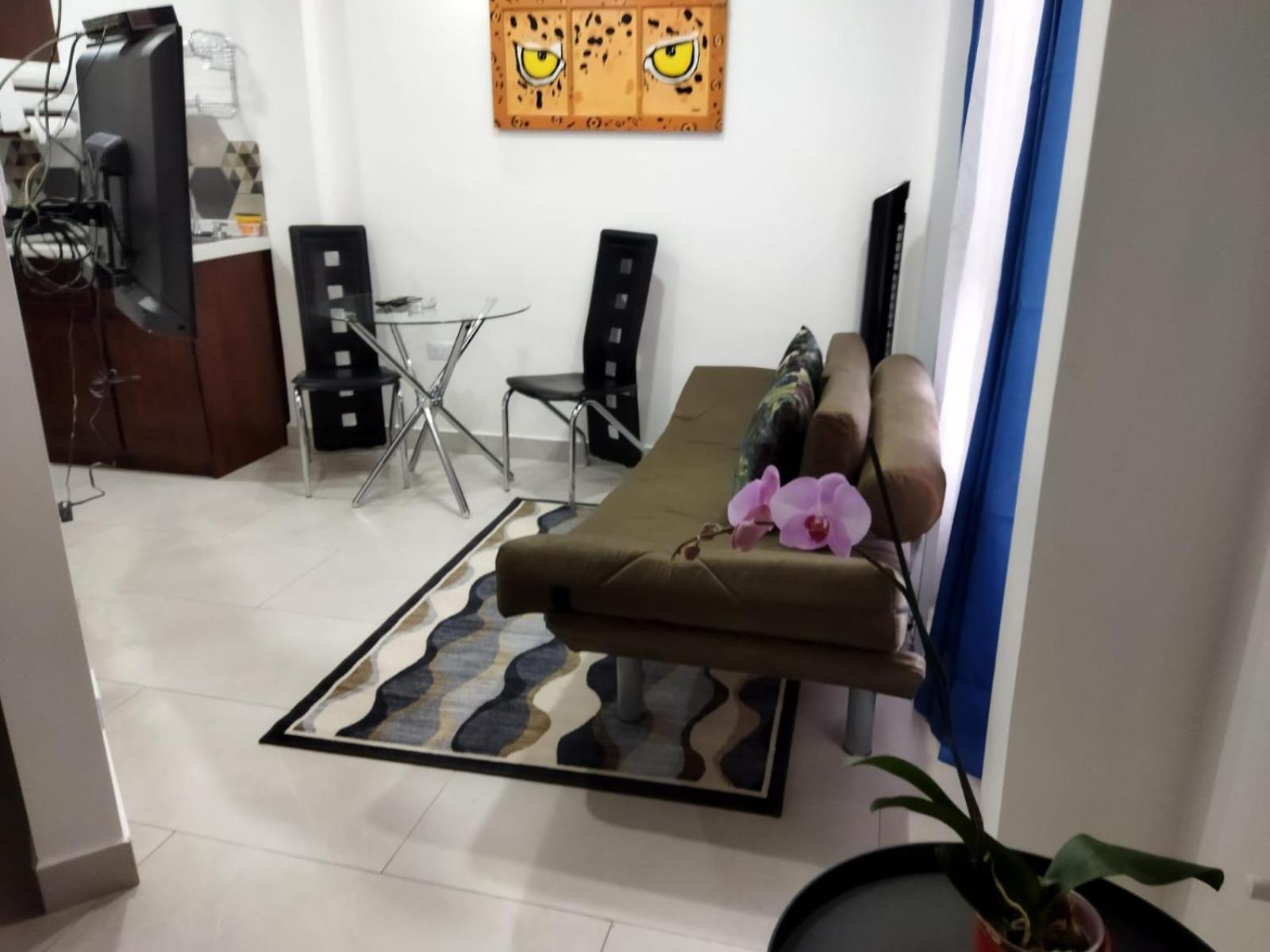 Apartamento 935 San José