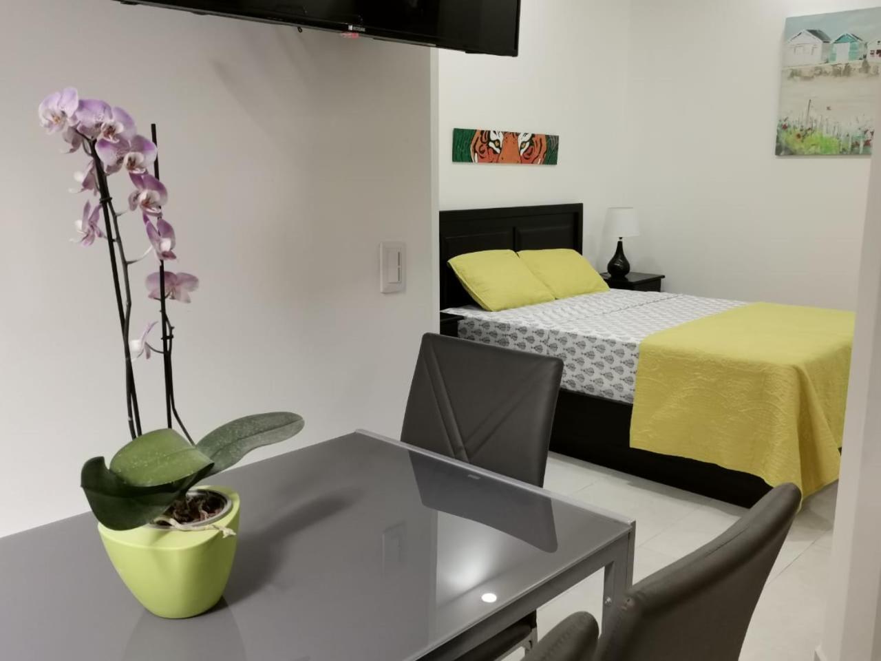 935 San Jose (San Jose)