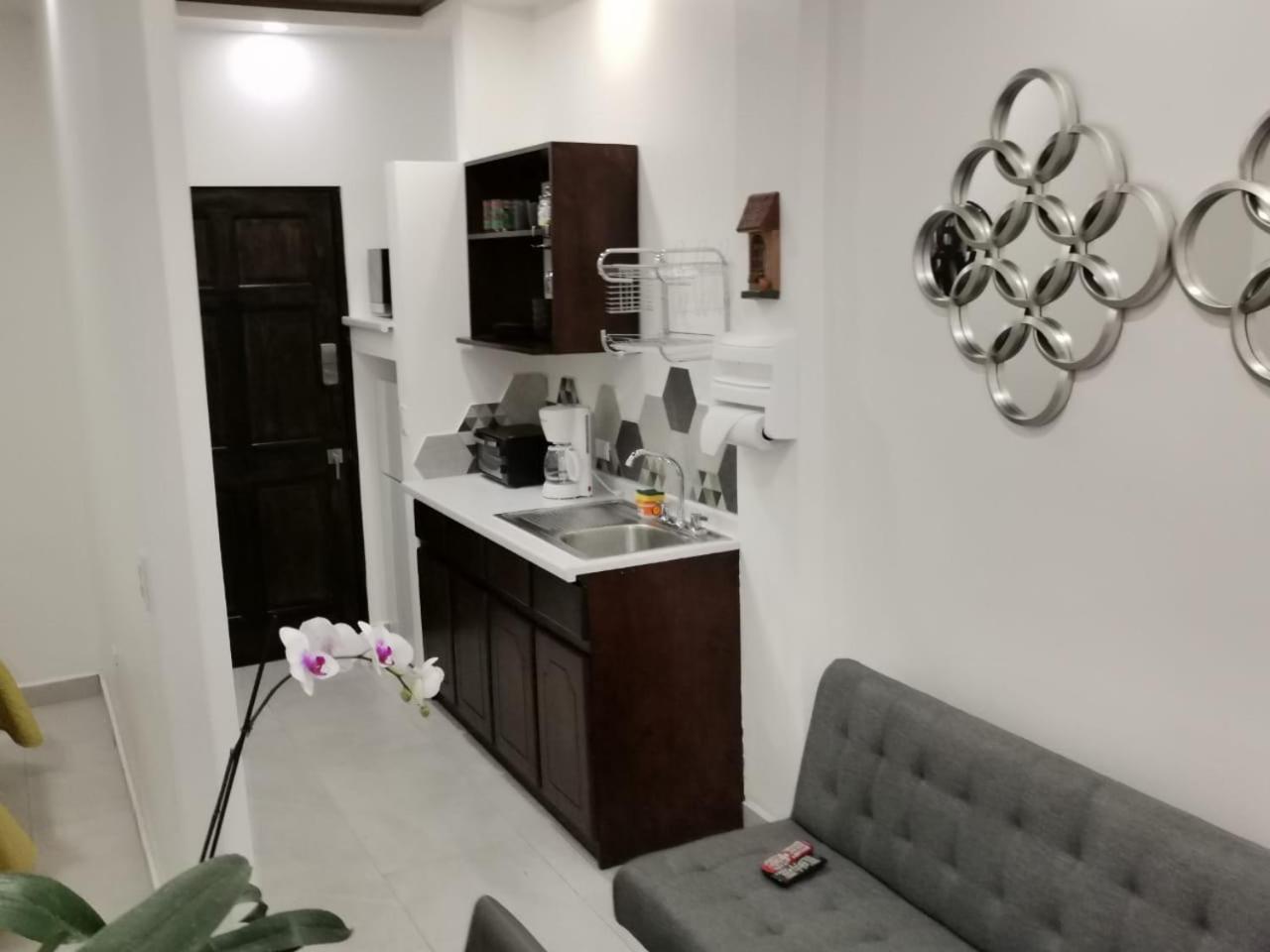 Apartment 935 San Jose (San Jose)